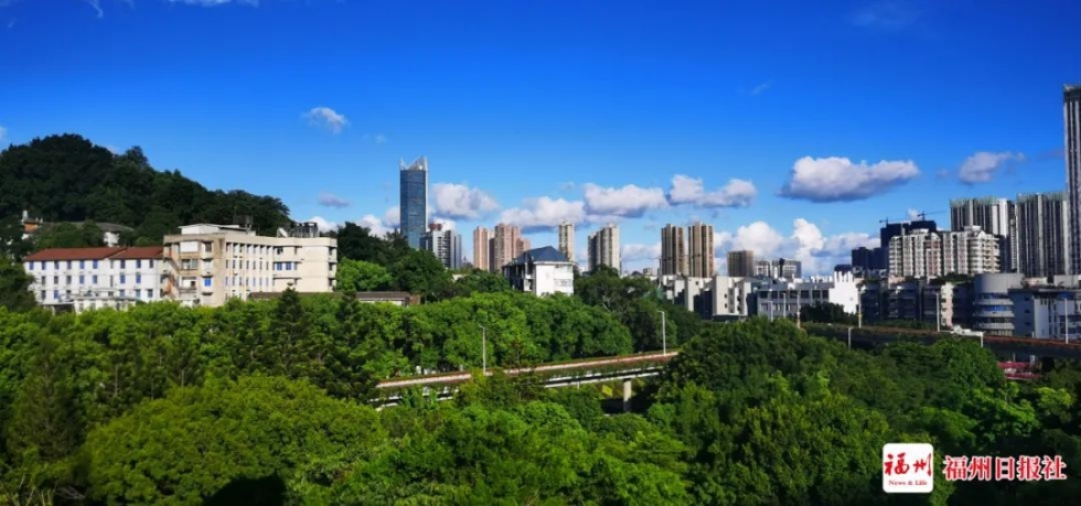 福州日报社喊你了！冲鸭！