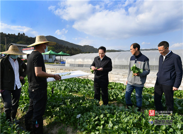 林宝金：发展特色产业 提升人居环境 努力在乡村振兴中走前列